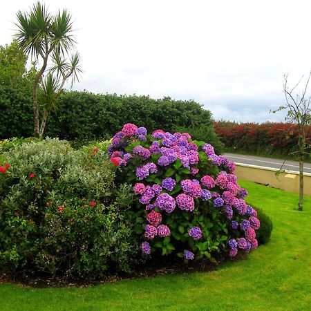 Cill Bhreac House B&B Dingle Zewnętrze zdjęcie