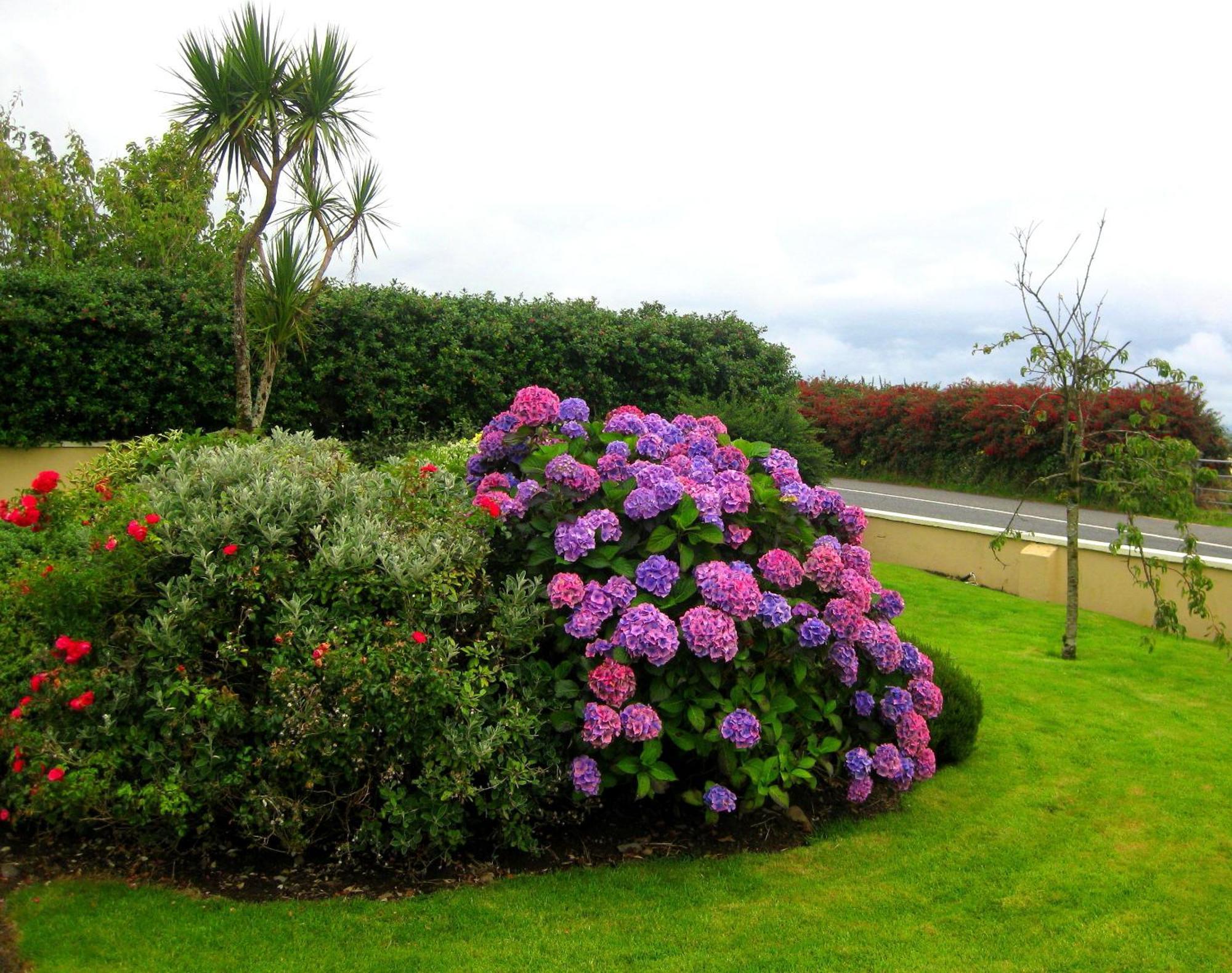Cill Bhreac House B&B Dingle Zewnętrze zdjęcie